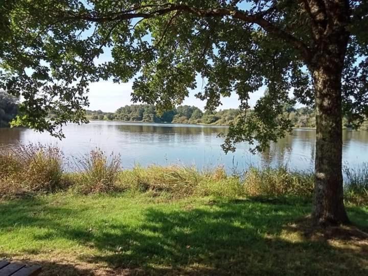 Le Chalet Du Coin Videix Zewnętrze zdjęcie